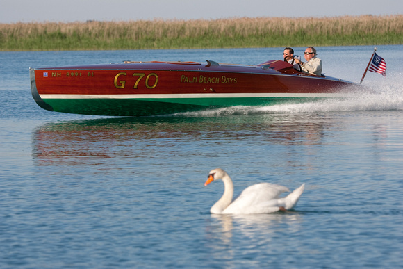 Boat & Swan D1248-086